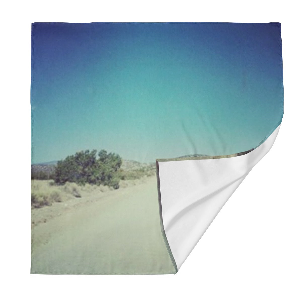 Road to Espanola, New Mexico Scarf
