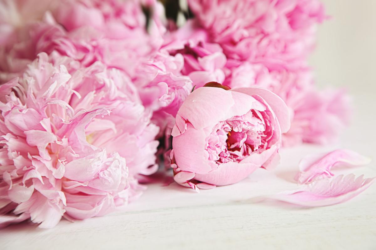 avalove botanics presents: Flower Dyed Silk Facemasks