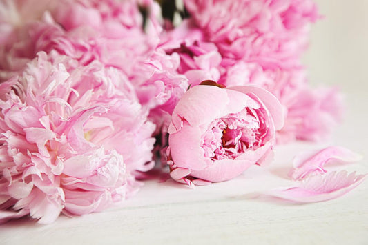avalove botanics presents: Flower Dyed Silk Facemasks