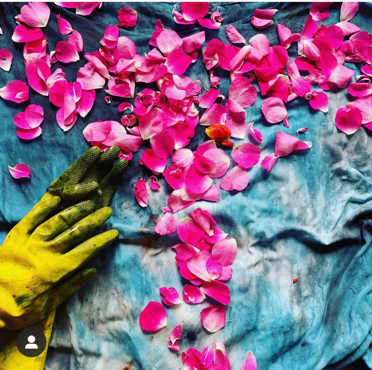 the roses