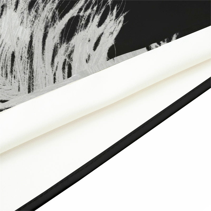 Writing Quill  Scarf