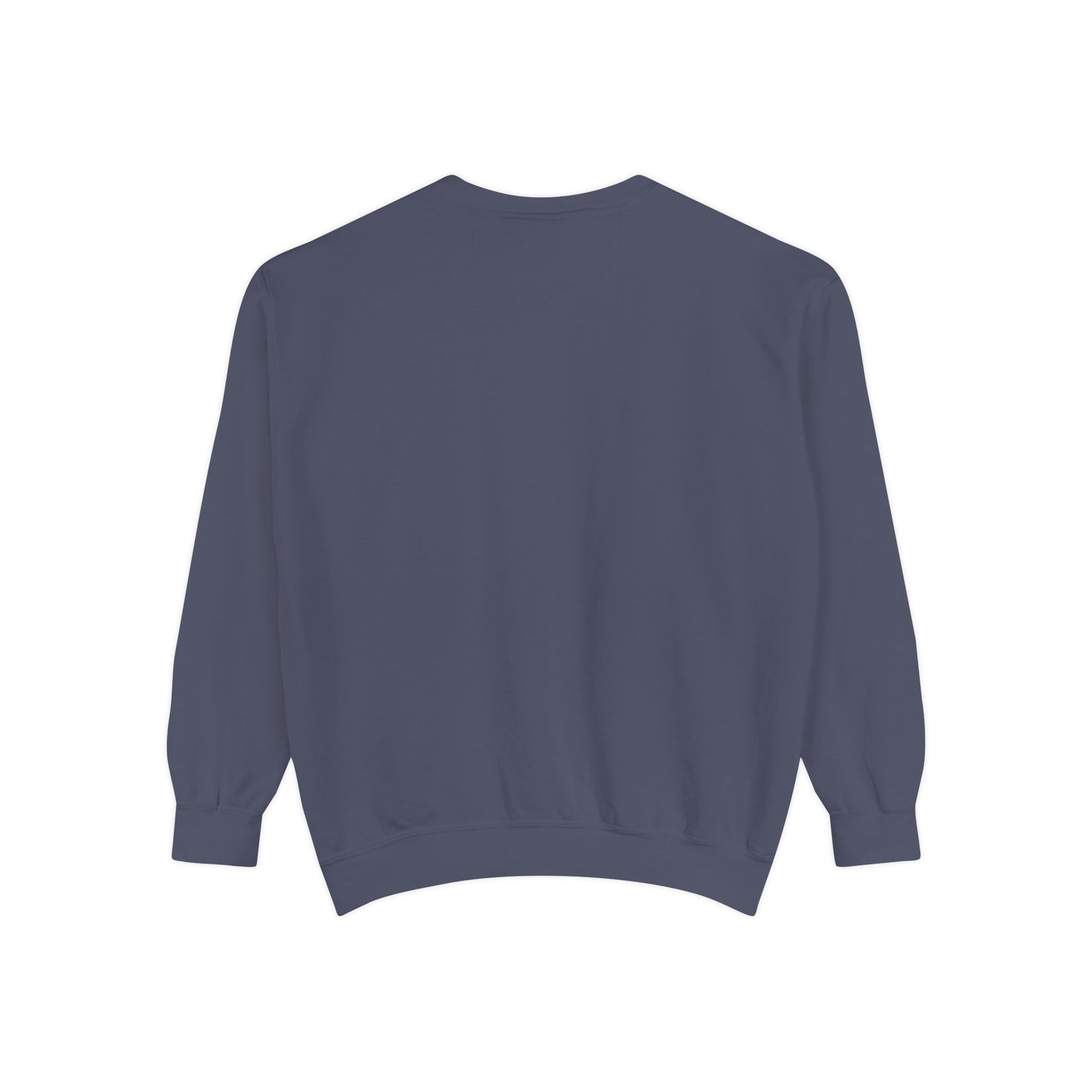 Twin Feather Sweatshirt- THE STORE by avalove