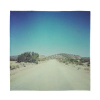 Road to Espanola, New Mexico Scarf